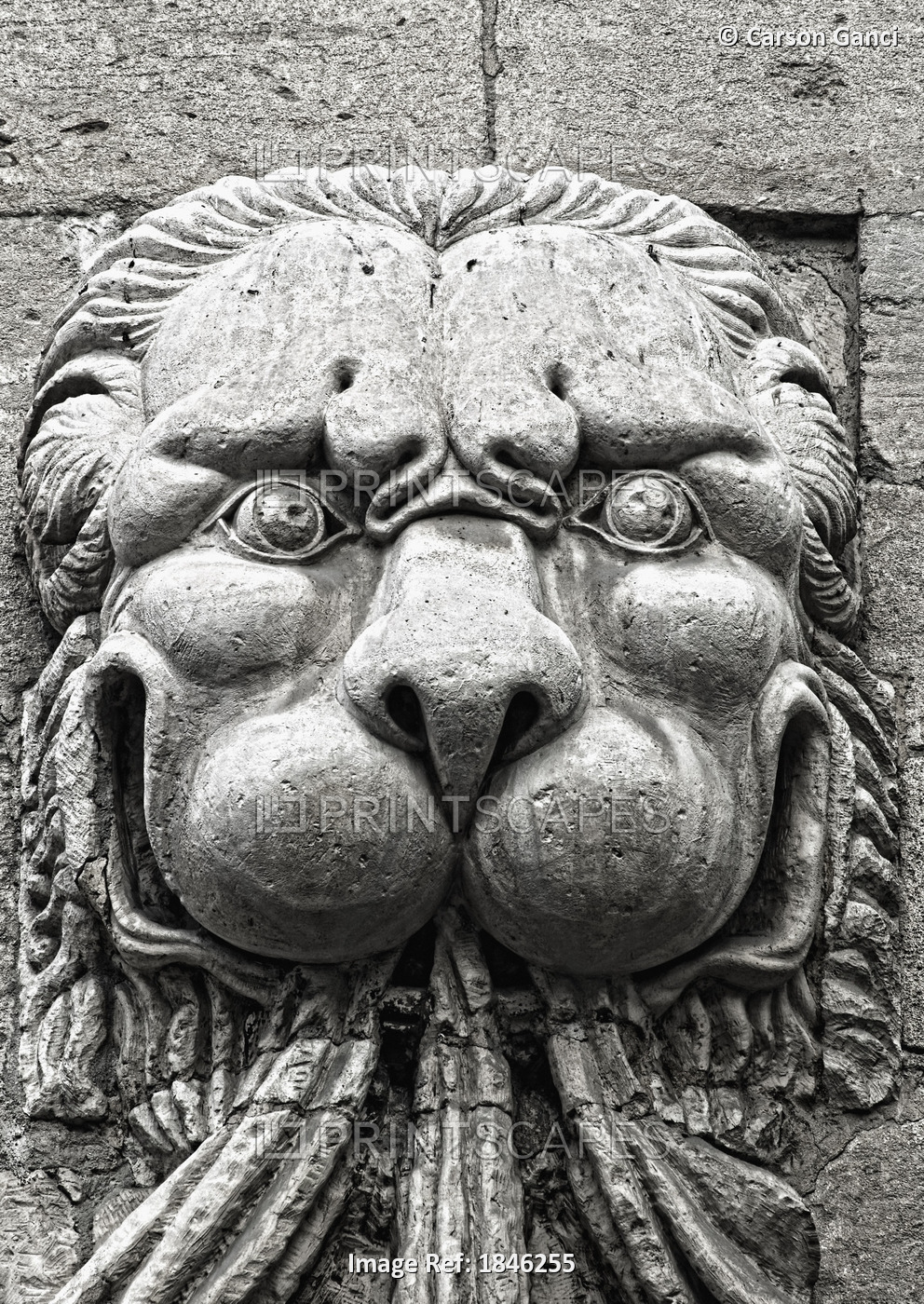 Pope's Palace, Avignon, Provence, France; Lion Sculpture