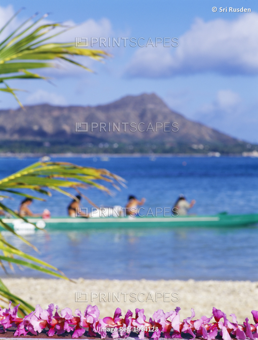 Hawaii, Oahu, Waikiki, Diamond Head, Canoe Paddlers With Orchid Lei In The ...
