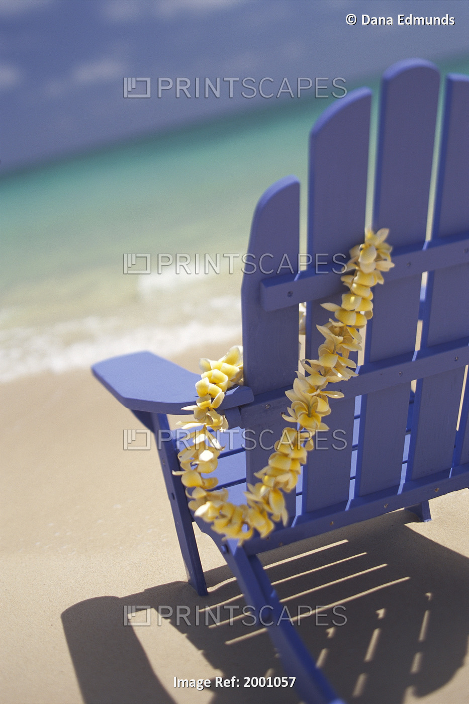 Close-Up Side Of Blue Beach Chair With Plumeria Hanging On Side