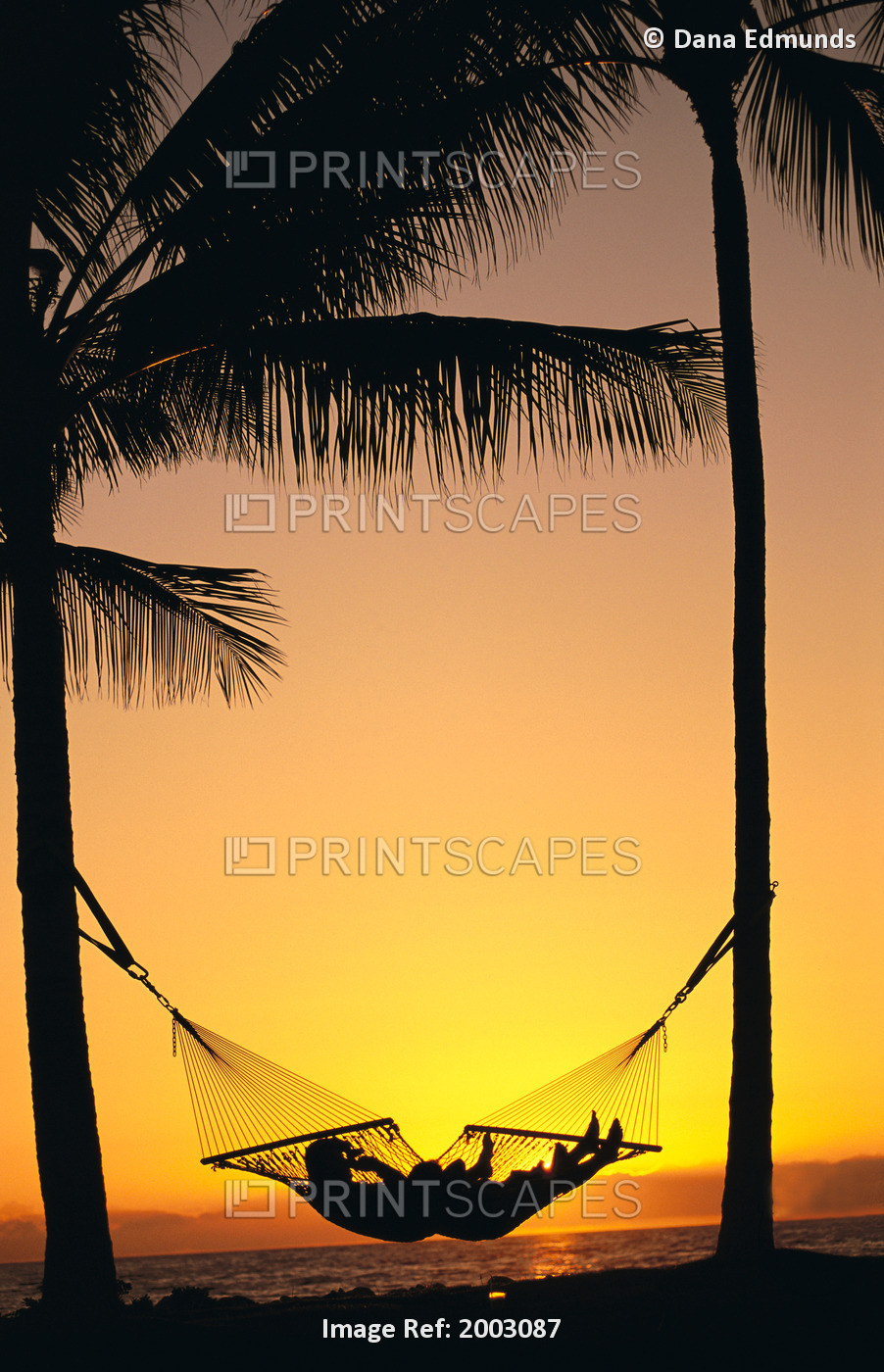 Silhouetted Couple Laying In Hammock On Beach At Sunset, Palm Trees