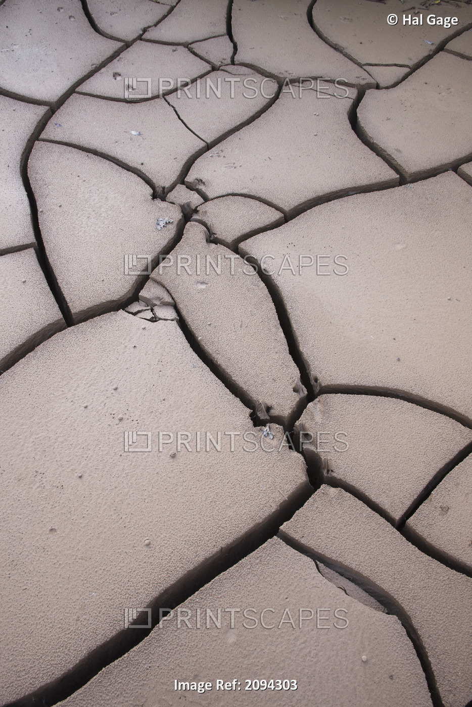 Dried, Cracked Mud Along The Glenn Highway By Sheep Mountain, Southcentral ...