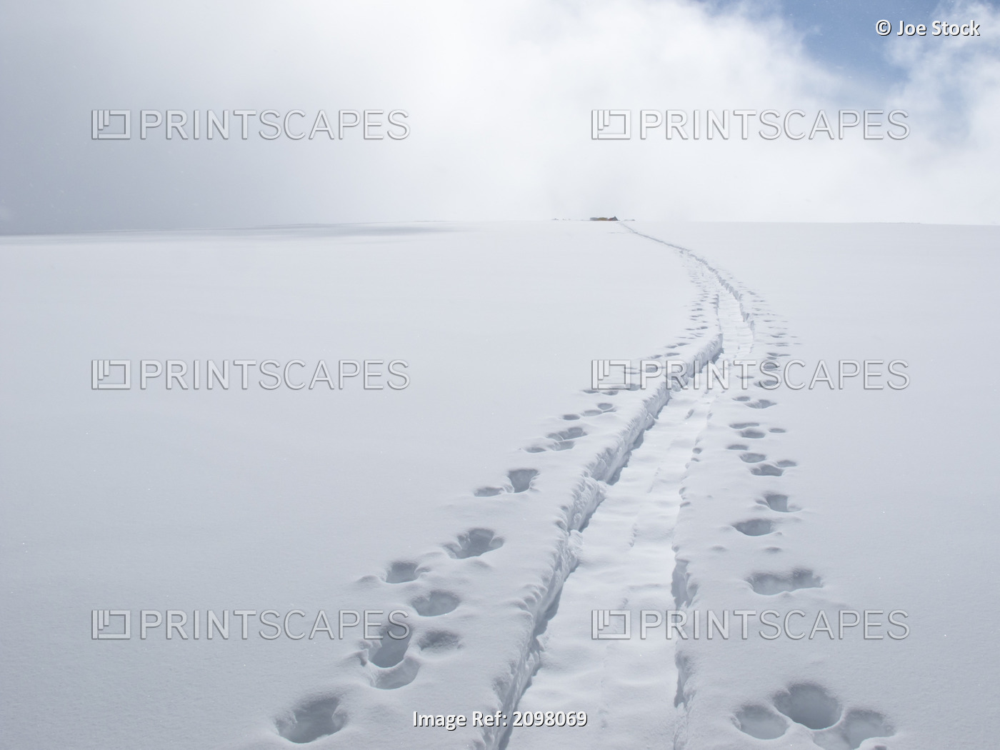 Path Worn By Climbers At Camp 4 While Mountaineering The King Trench Route On ...