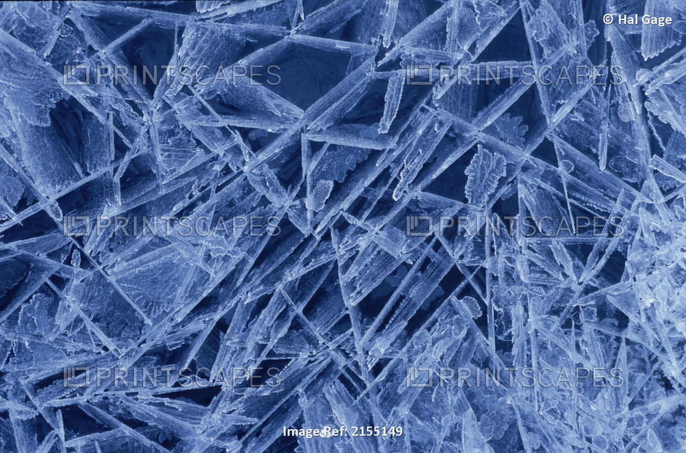 Ice Crystals Formed On Portage River Alaska Winter