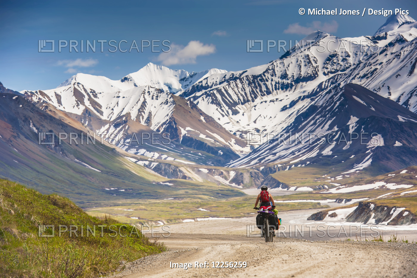 A Woman Bicycle Touring In Denali National Park, Grassy Pass, Southcentral ...