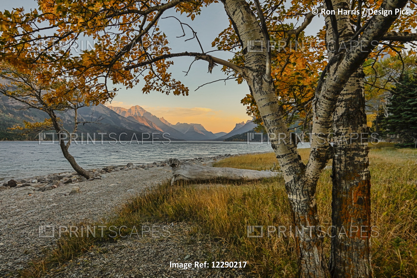 Waterton Lake In Autumn Colours At Sunset Against The Mountains, Waterton Lakes ...