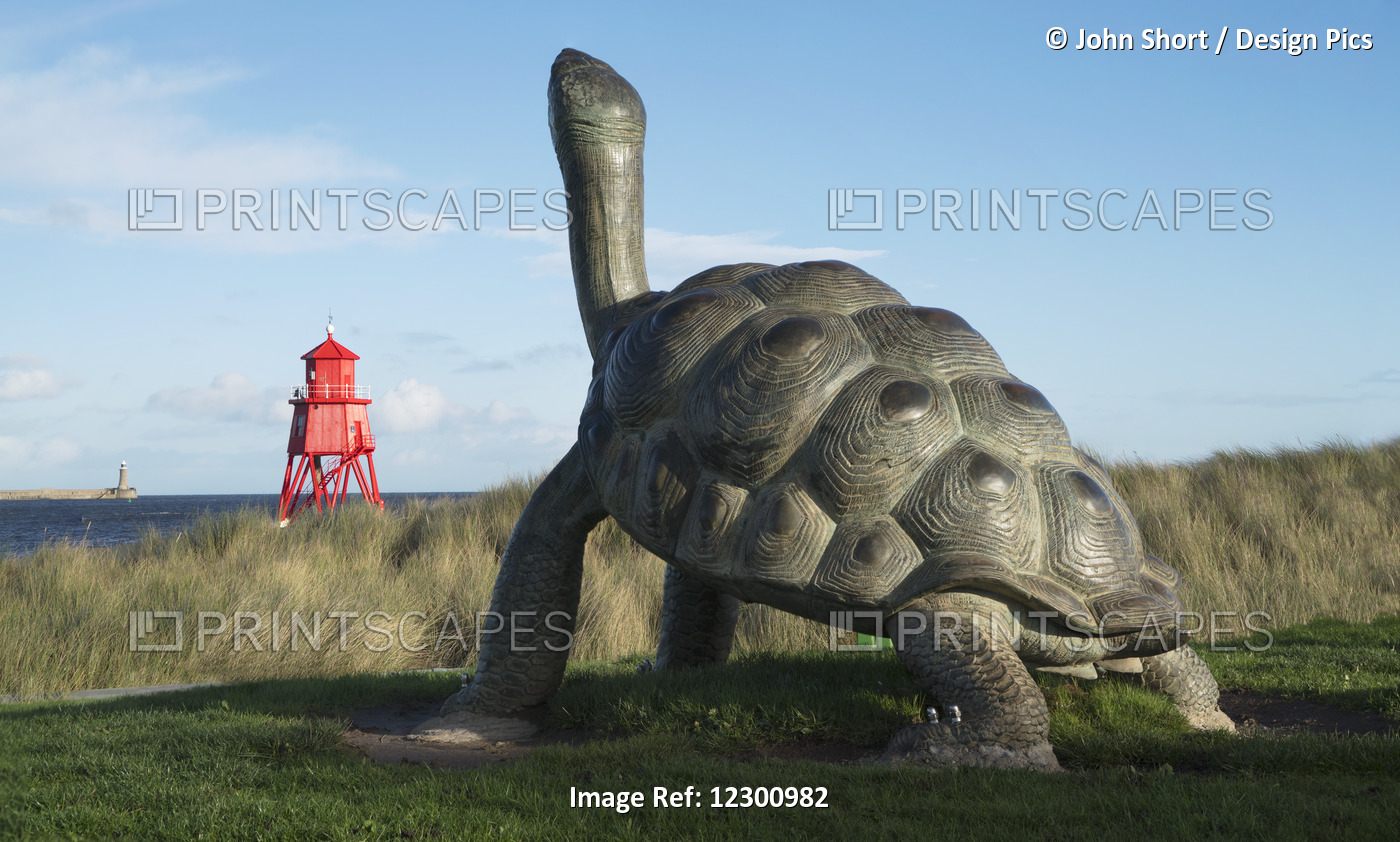 Sculpture Of A Turtle And The Herd Groyne Lighthouse; South Shields, Tyne And ...