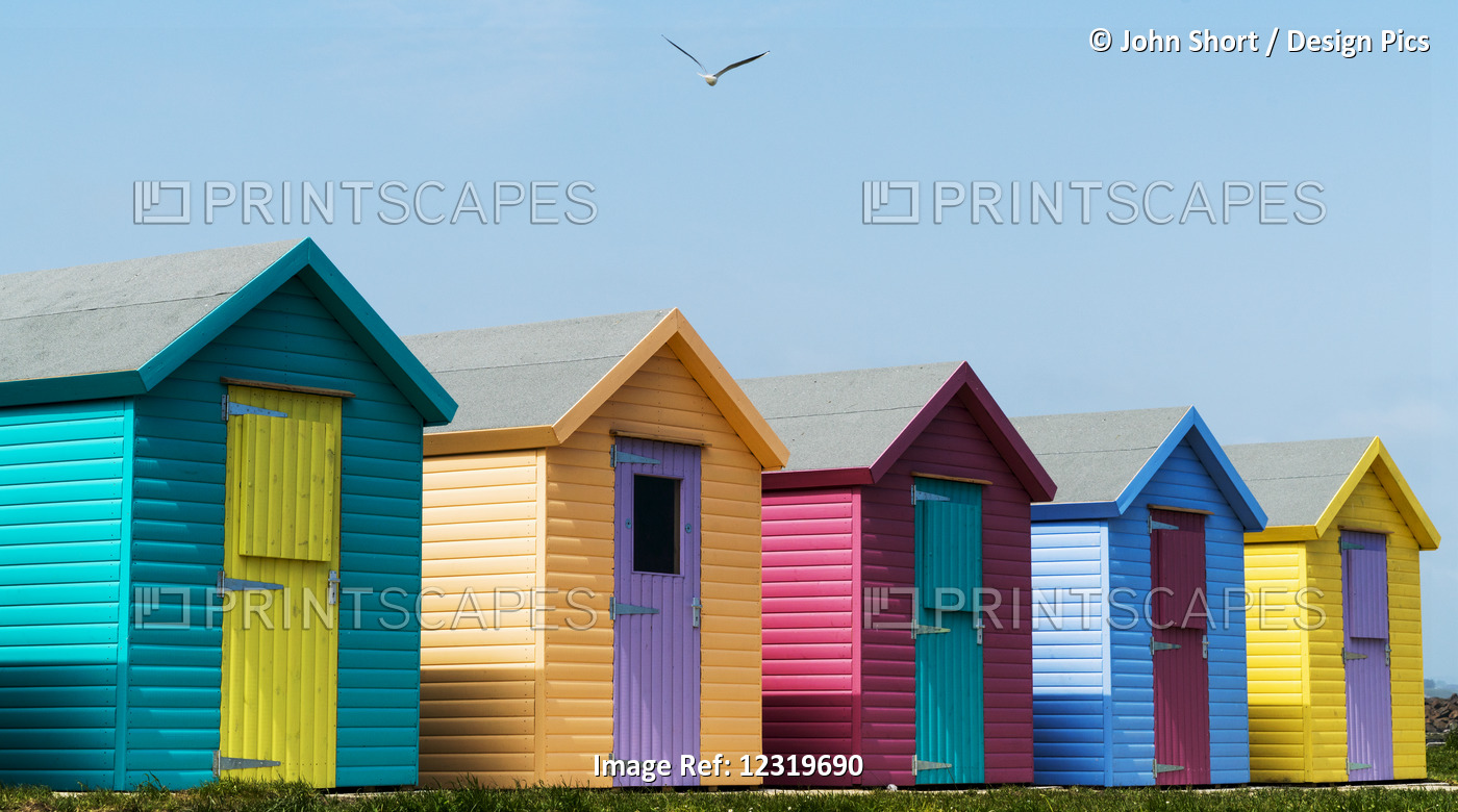 Colourful Buildings In A Row With Boarded Up Windows On The Door; Amble, ...