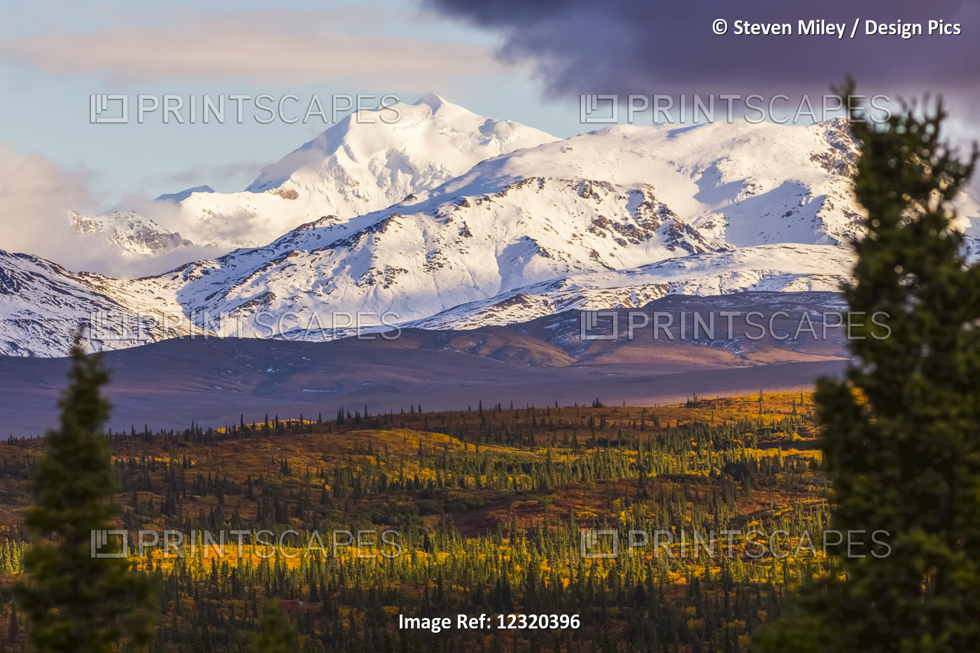 Mt. Silvertip Shines In The Evening Sun In Autumn, Viewed From The Richardson ...