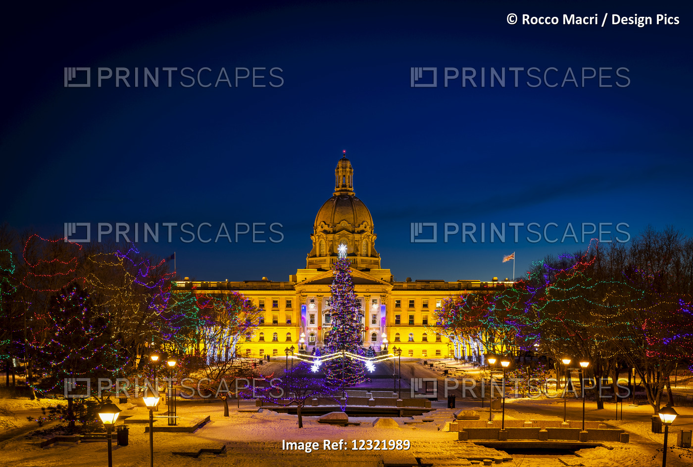 Alberta Legislature Building Illuminated And A Christmas Tree With Colourful ...