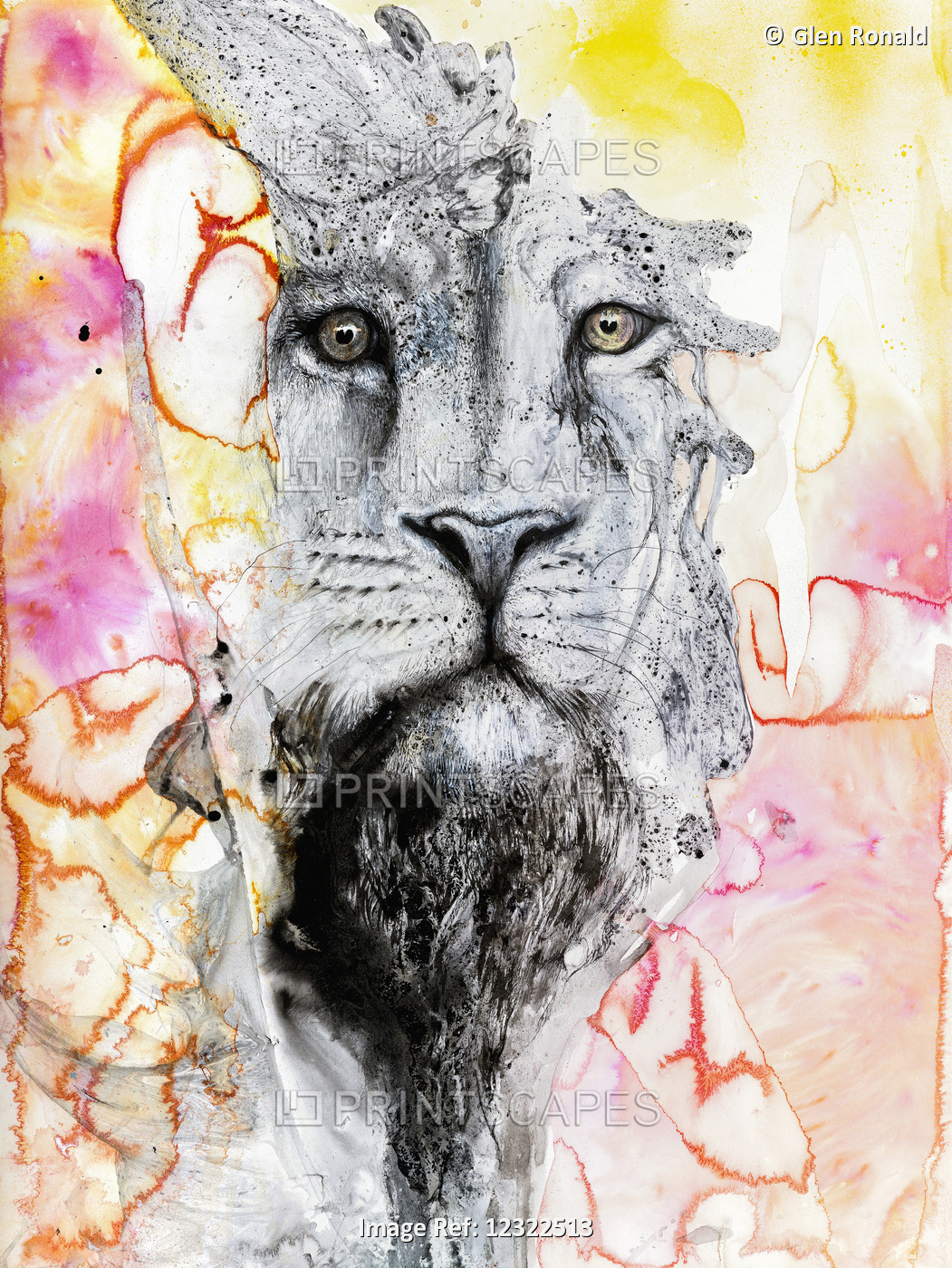 Lion Sunset, Colour Artwork