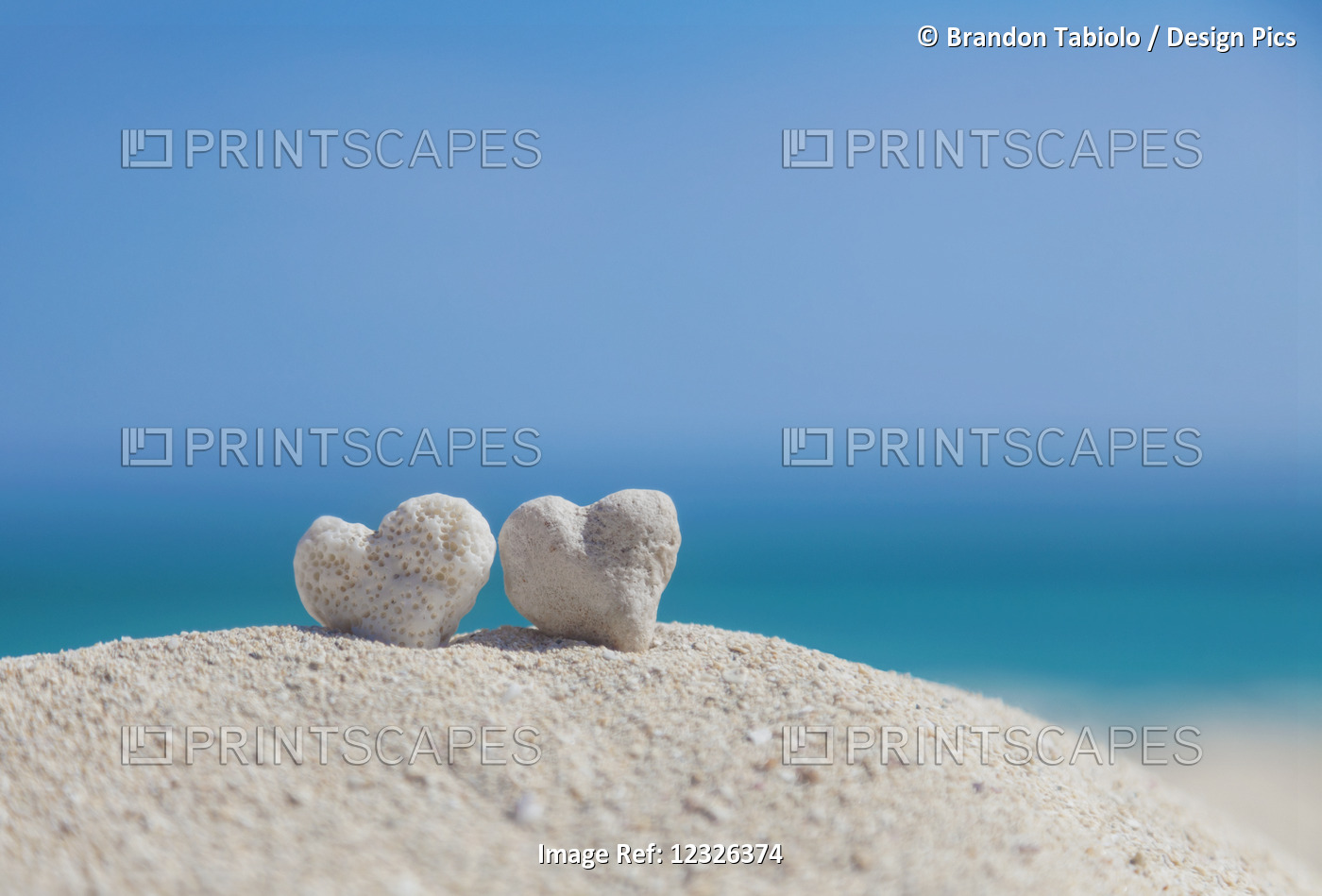 Two White Heart Shaped Coral Rocks Placed Together On Sand At The Beach; ...