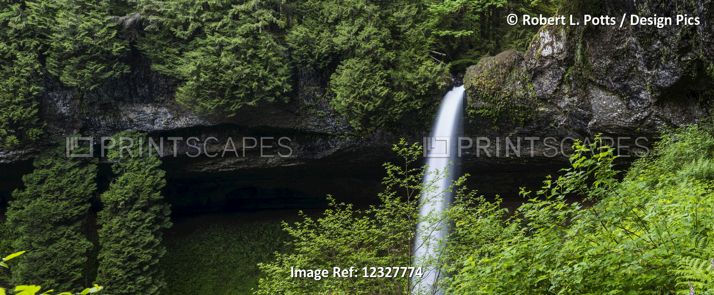 North Falls Plunges Into The Canyon At Silver Falls State Park; Silverton, ...