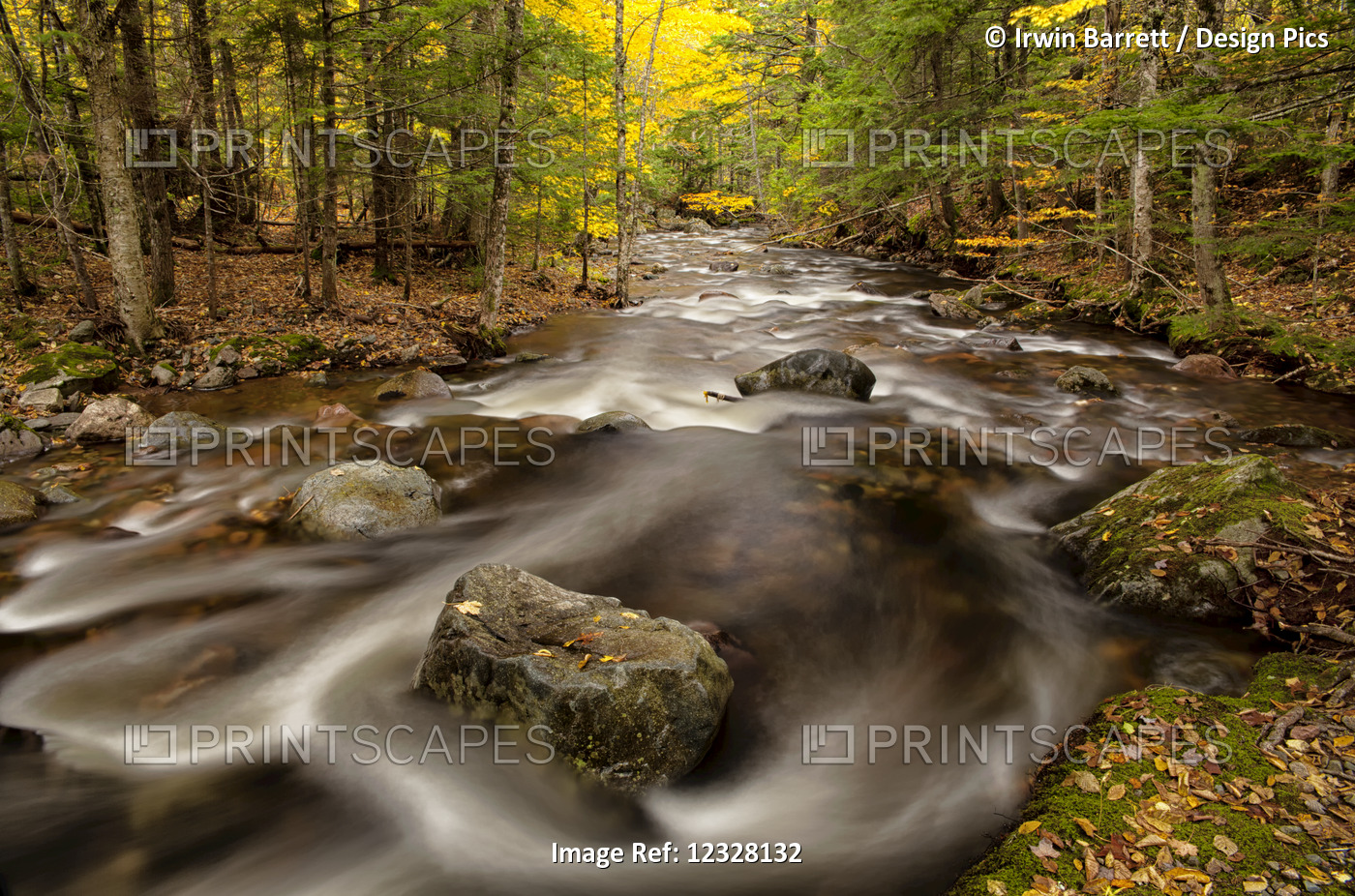 Autumn Along Swan Brook; East Wentworth, Nova Scotia, Canada