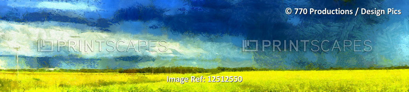 Canola growing in a field with storm clouds overhead, digital painting