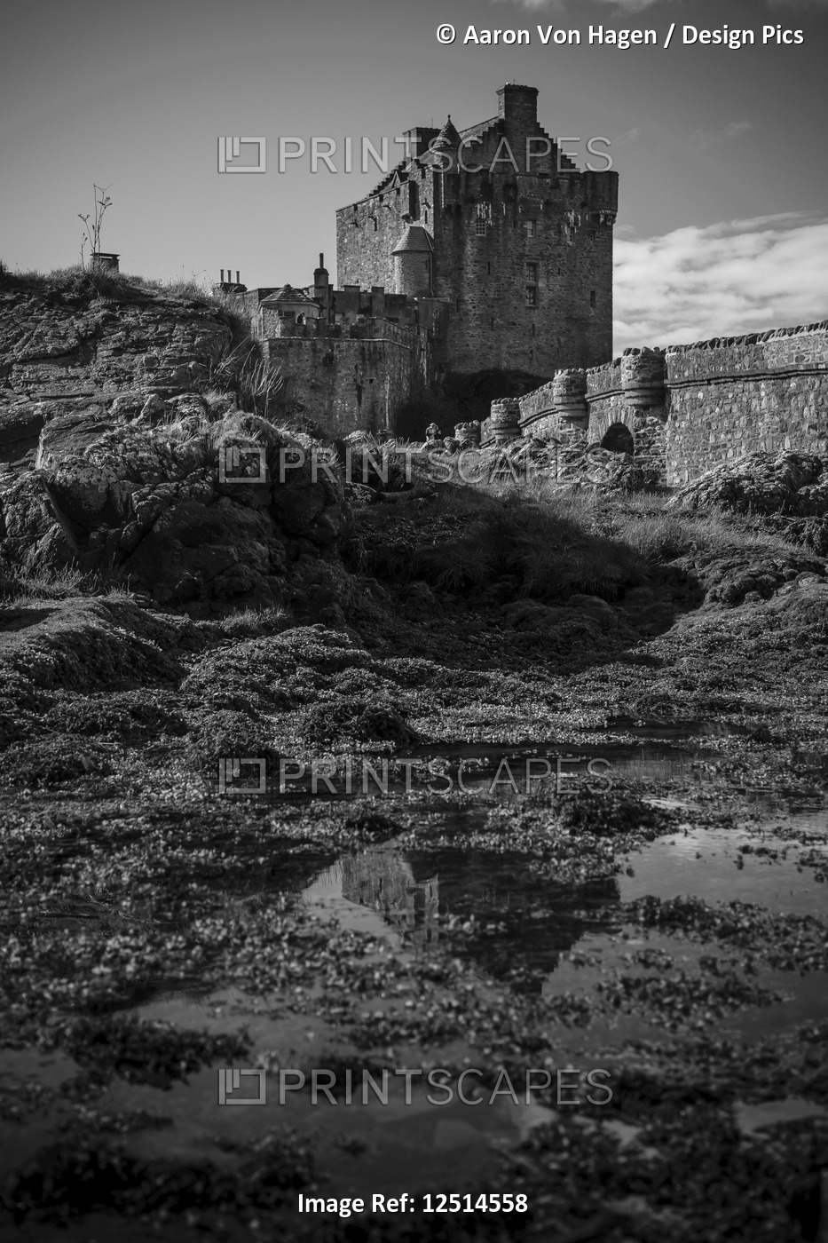 Black and white image of a castle; Isle of Skye, Scotland