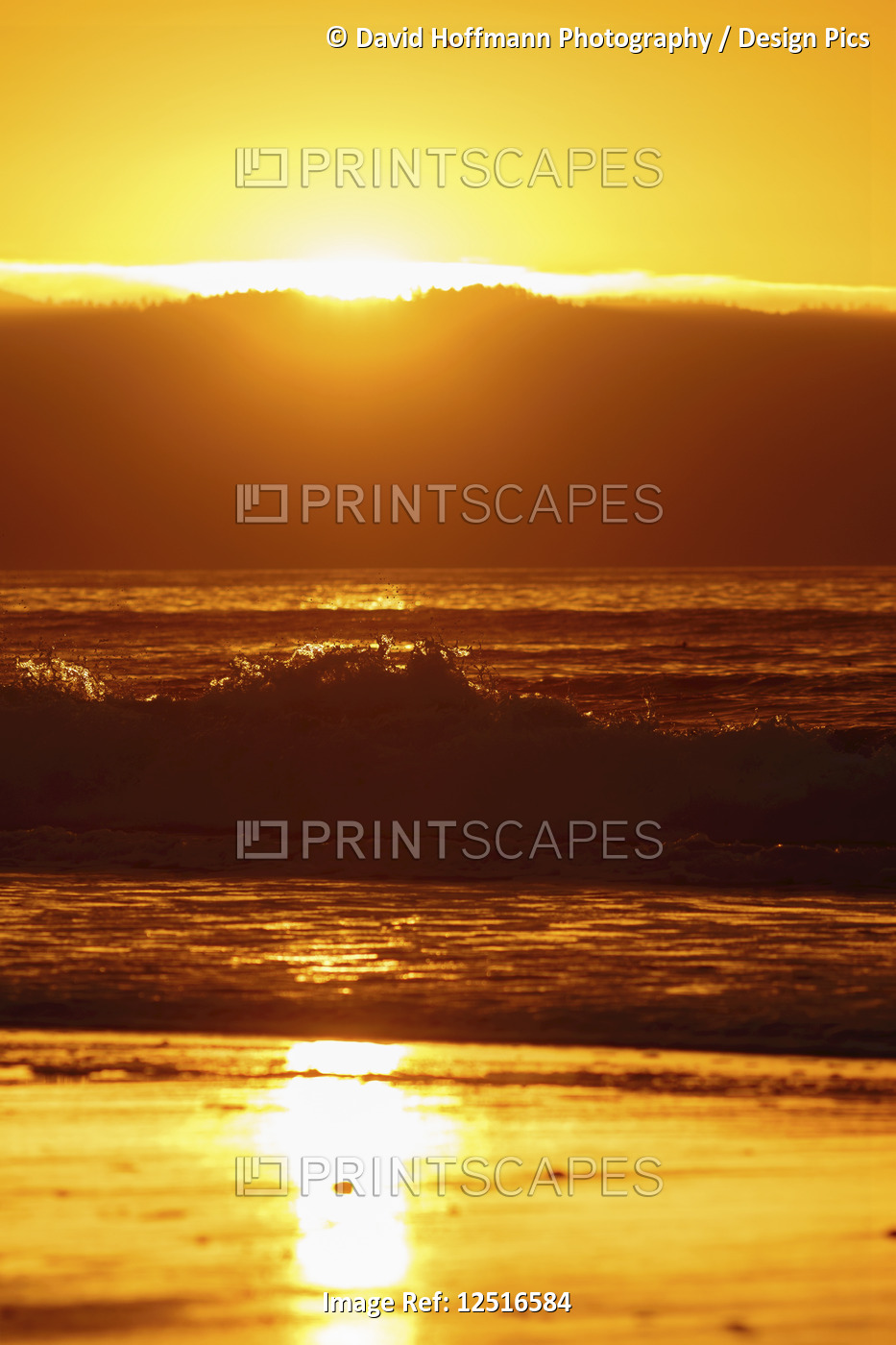 Dramatic golden sunlight at sunset reflected on the wet beach, Point Reyes ...