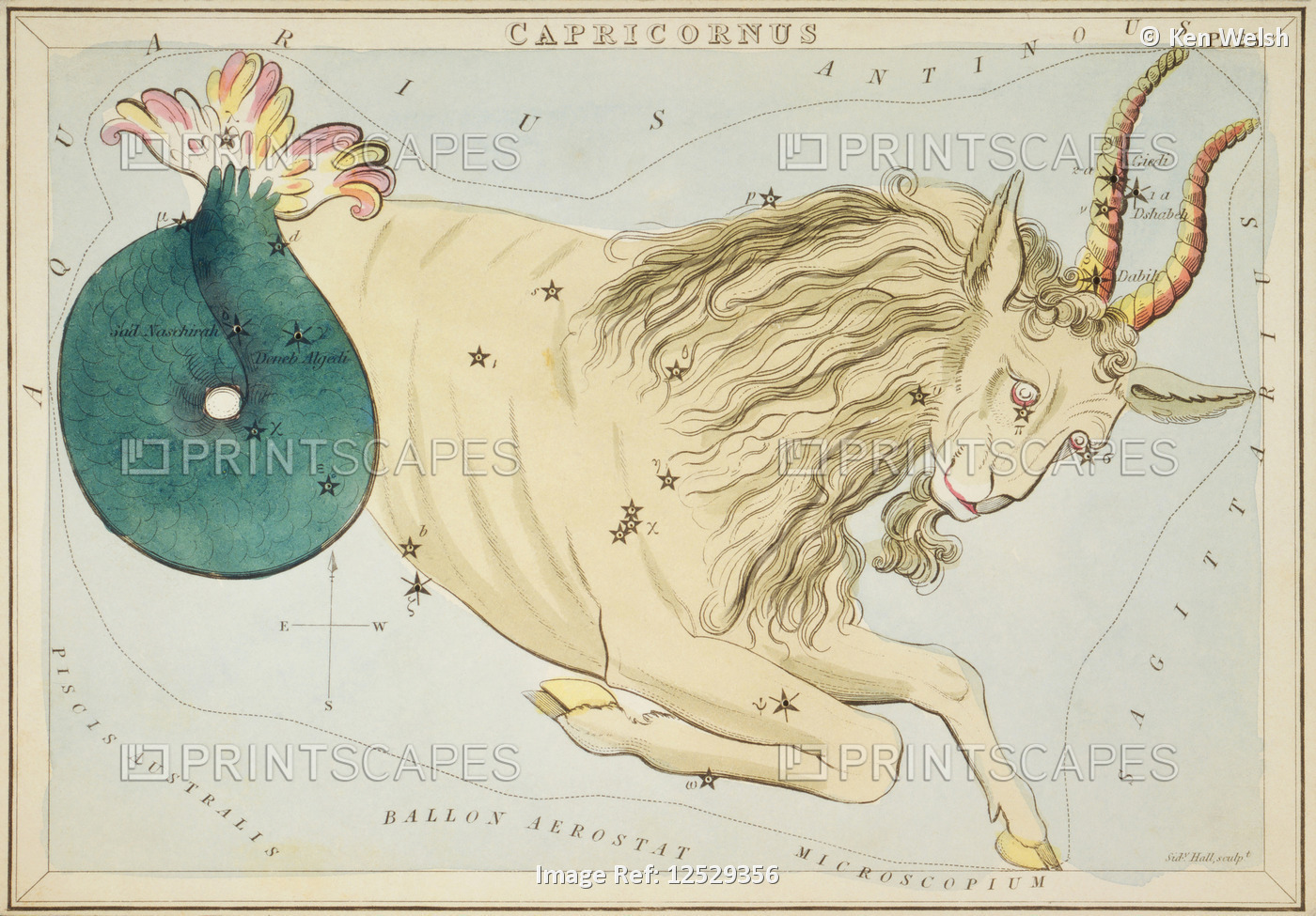 Capricornus.  Capricorn. Card Number 25 from Urania's Mirror, or A View of the ...