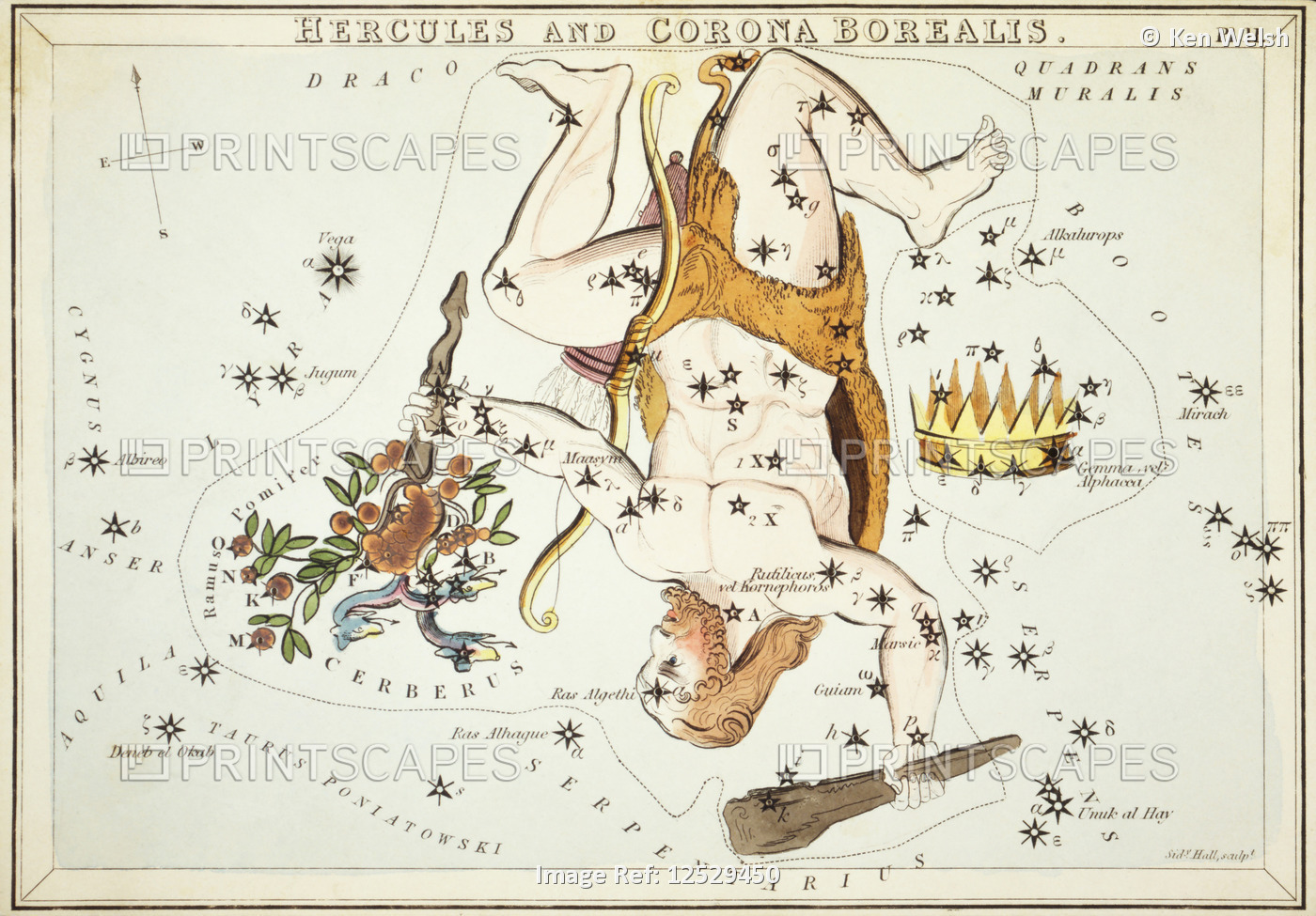Hercules and Corona Borealis. Card Number 11 from Urania's Mirror, or A View of ...