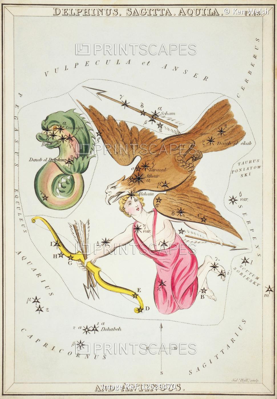 Delphinus, Sagitta, Aquila and Antinous. Card Number 13 from Urania's Mirror, ...