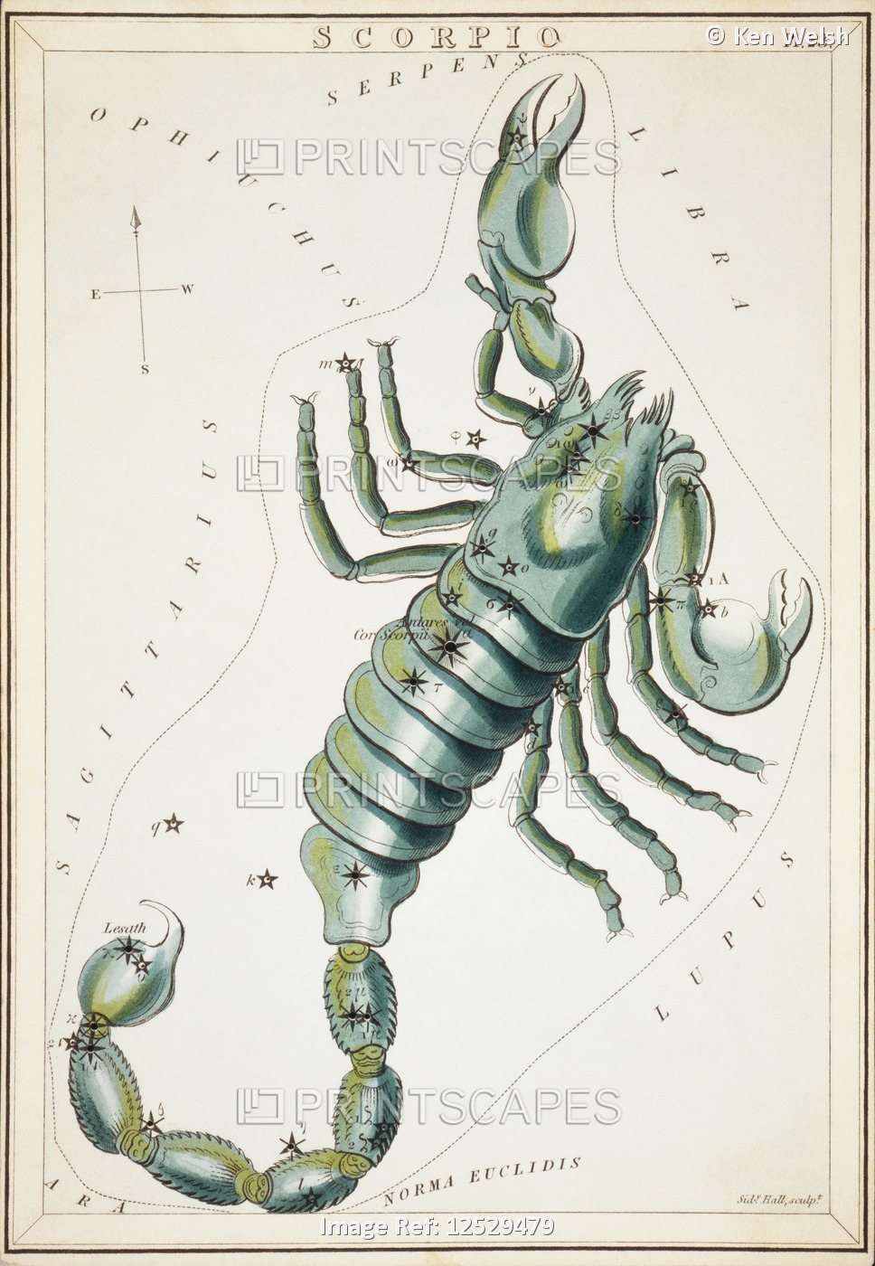 Scorpio.  Card Number 23 from Urania's Mirror, or A View of the Heavens, one of ...