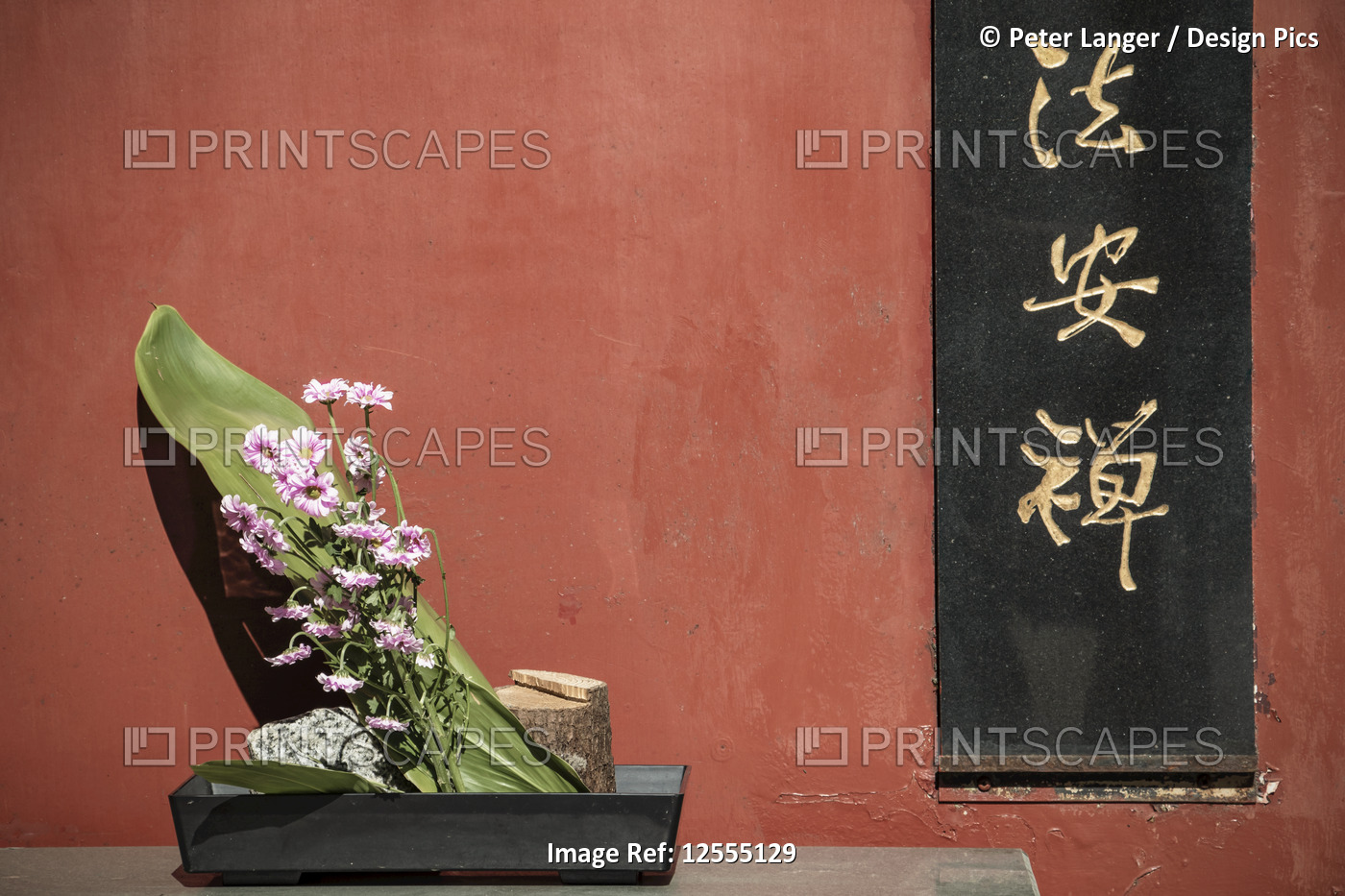 Flower offering at the Goddess of Mercy Temple (International Buddhist Temple); ...