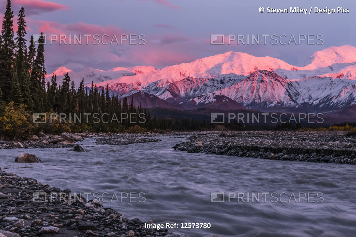 Sunset alpenglow on the Alaska Range, viewed from the Muddy River in Denali ...