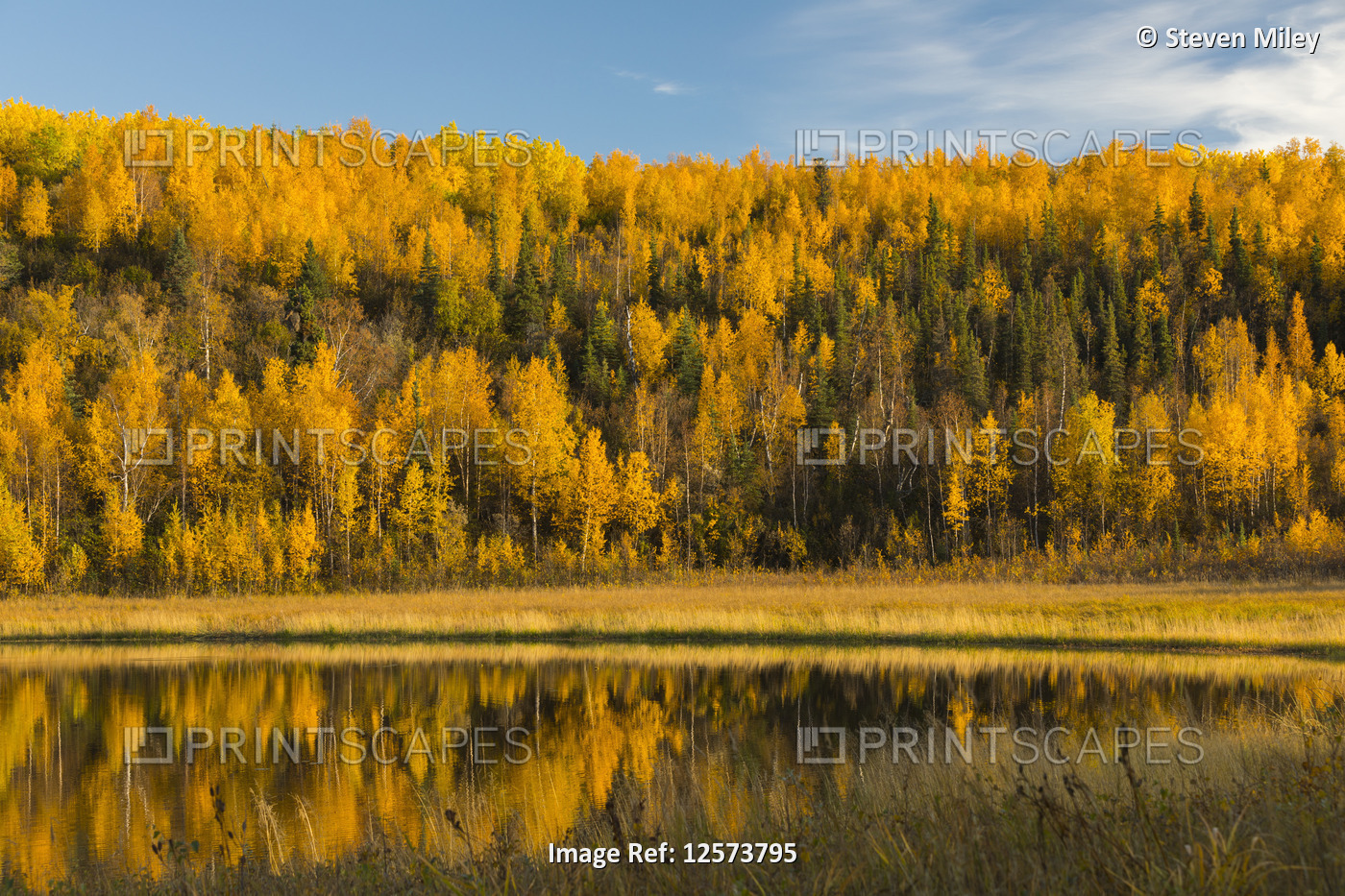 Autumn colours reflect in a lake in Interior Alaska; Alaska, United States of ...