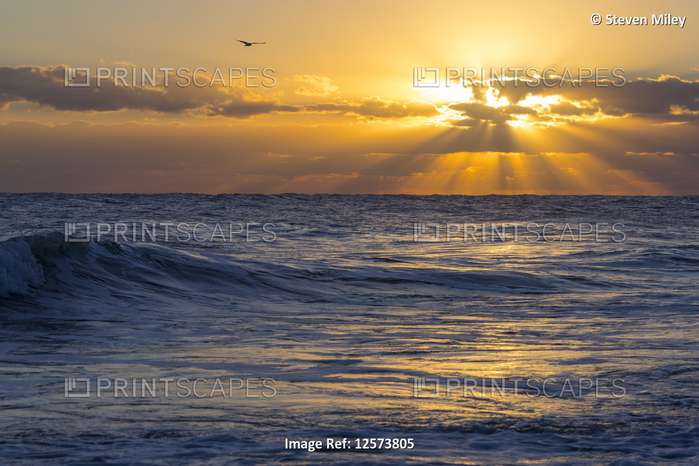 Sunrise over the Atlantic Ocean off the coast of Florida; Florida, United ...