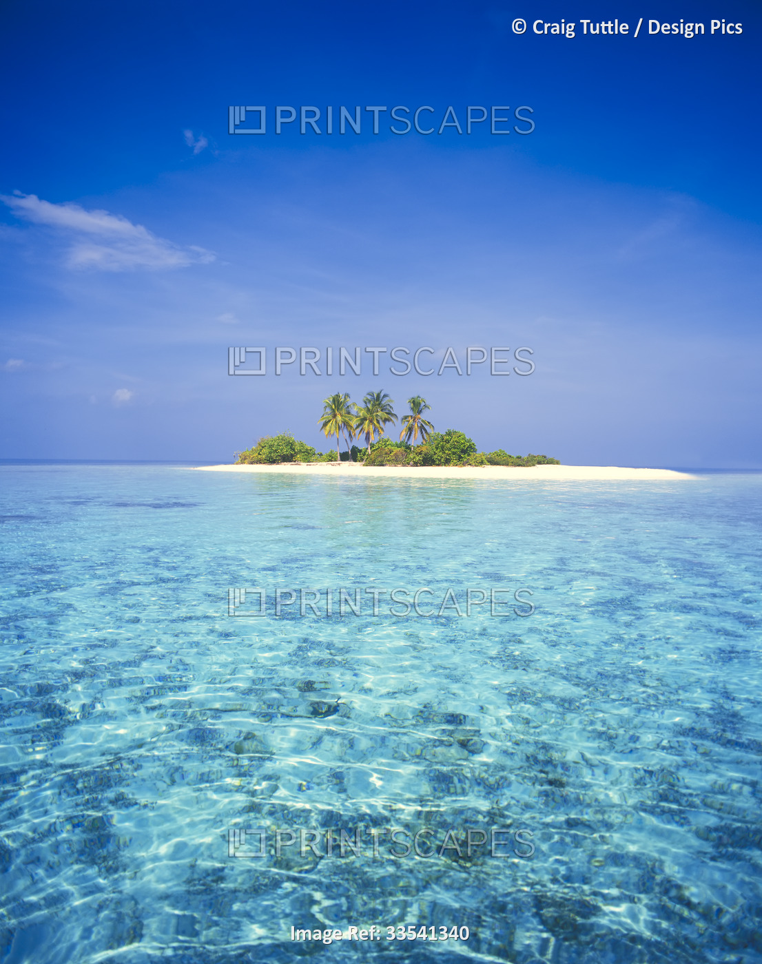 Small island in the Maldives with palm trees and white sand; Maldives