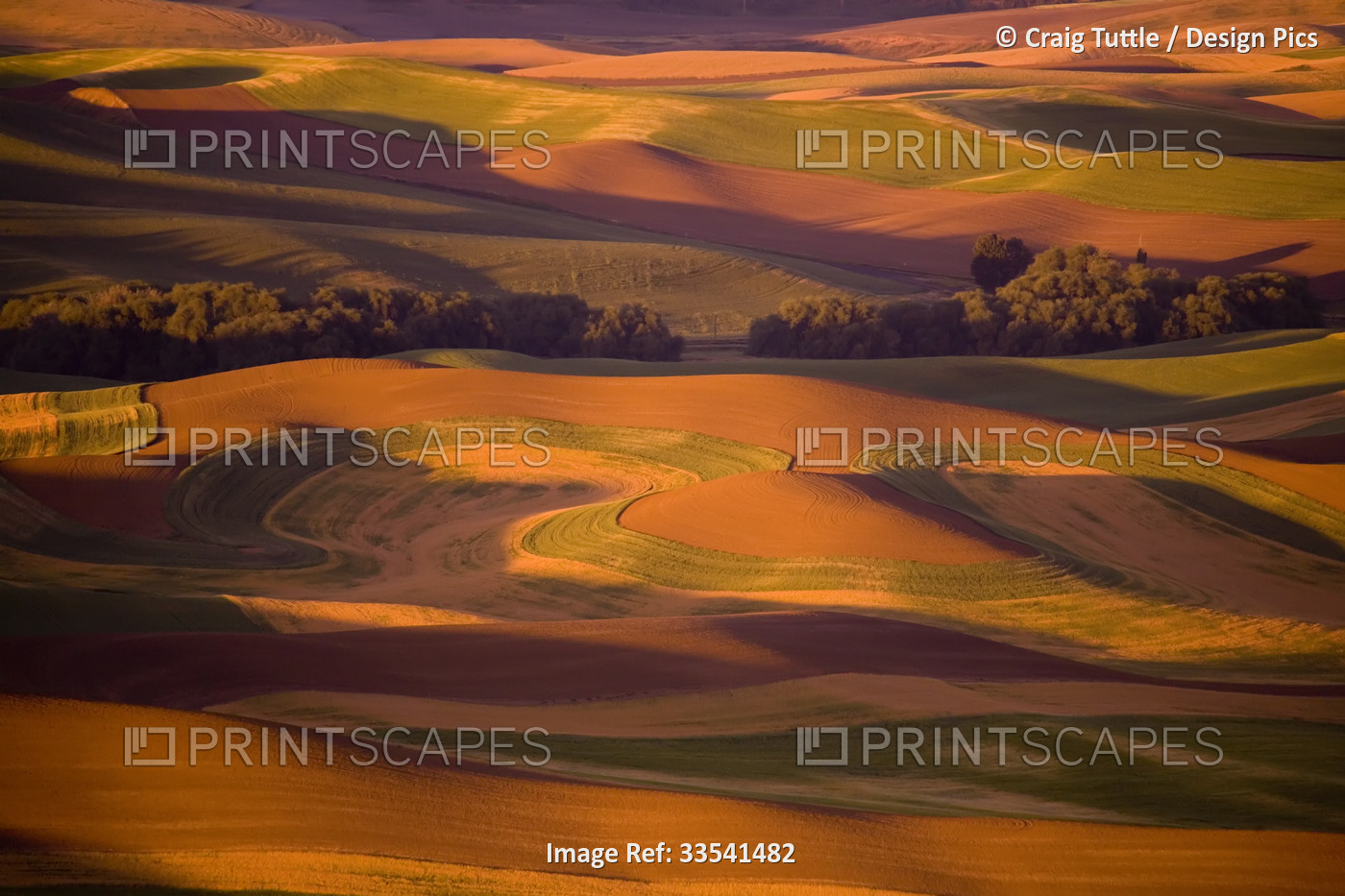 Palouse wheat fields in warm colours from Steptoe Butte at sunset; Washington, ...