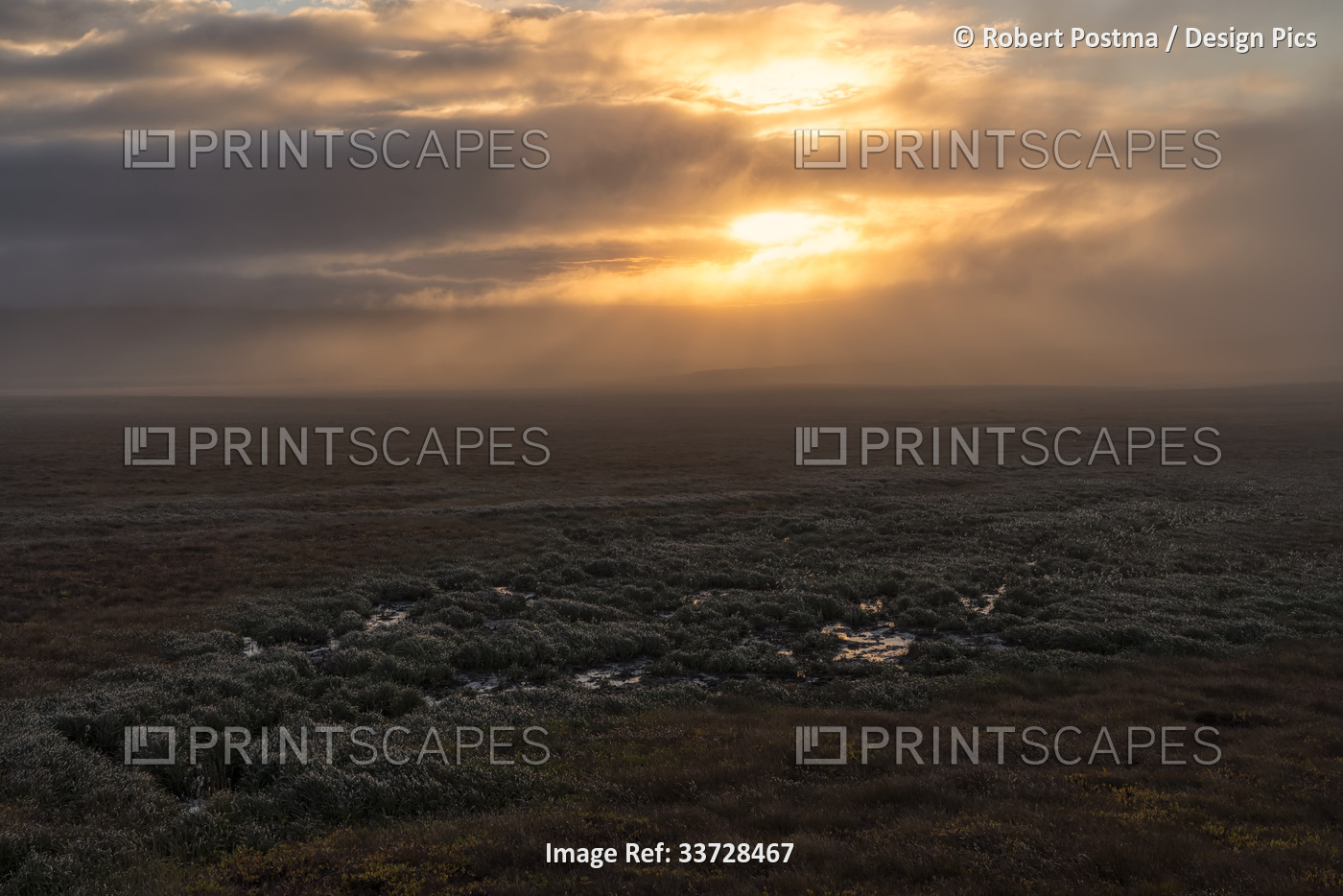 Moody scene along the Dempster highway past the arctic circle in the Yukon. ...