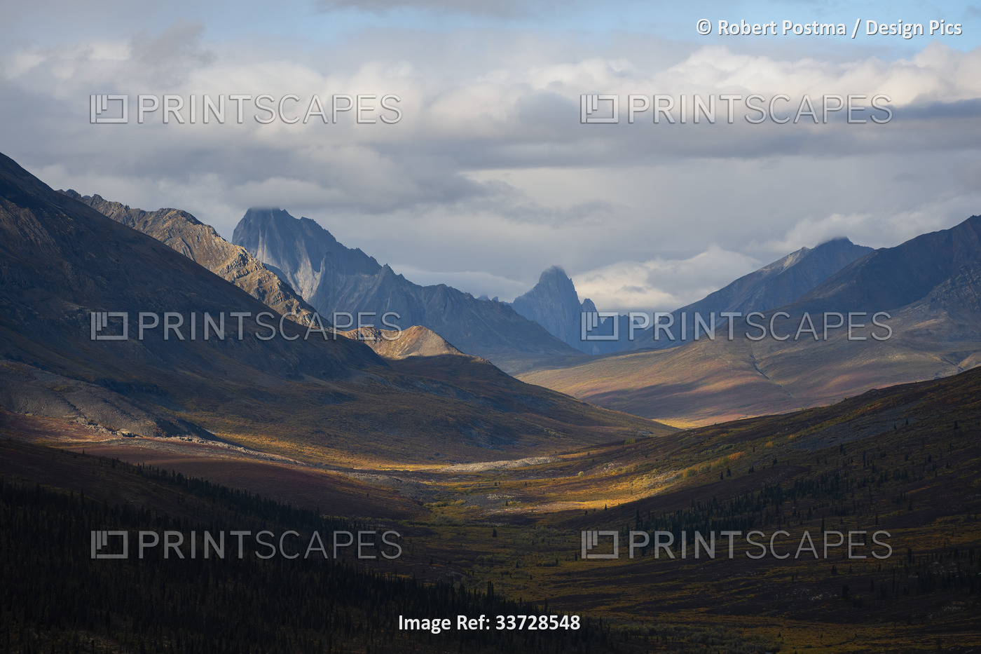 North Klondike Pass in Tombstone Territorial Park is alight with autumn colours ...