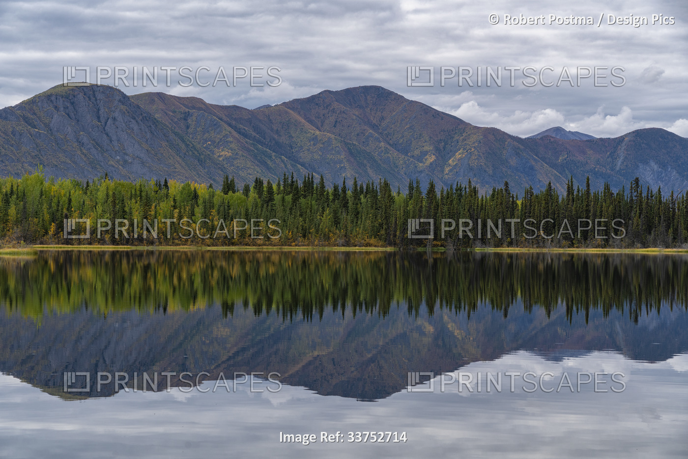 Beautiful reflection of the St. Cyr mountain range in Jackfish Lake; Ross ...