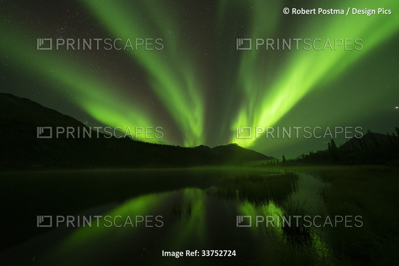 Northern Lights glowing a vibrant green in the Yukon night sky; Watson Lake, ...