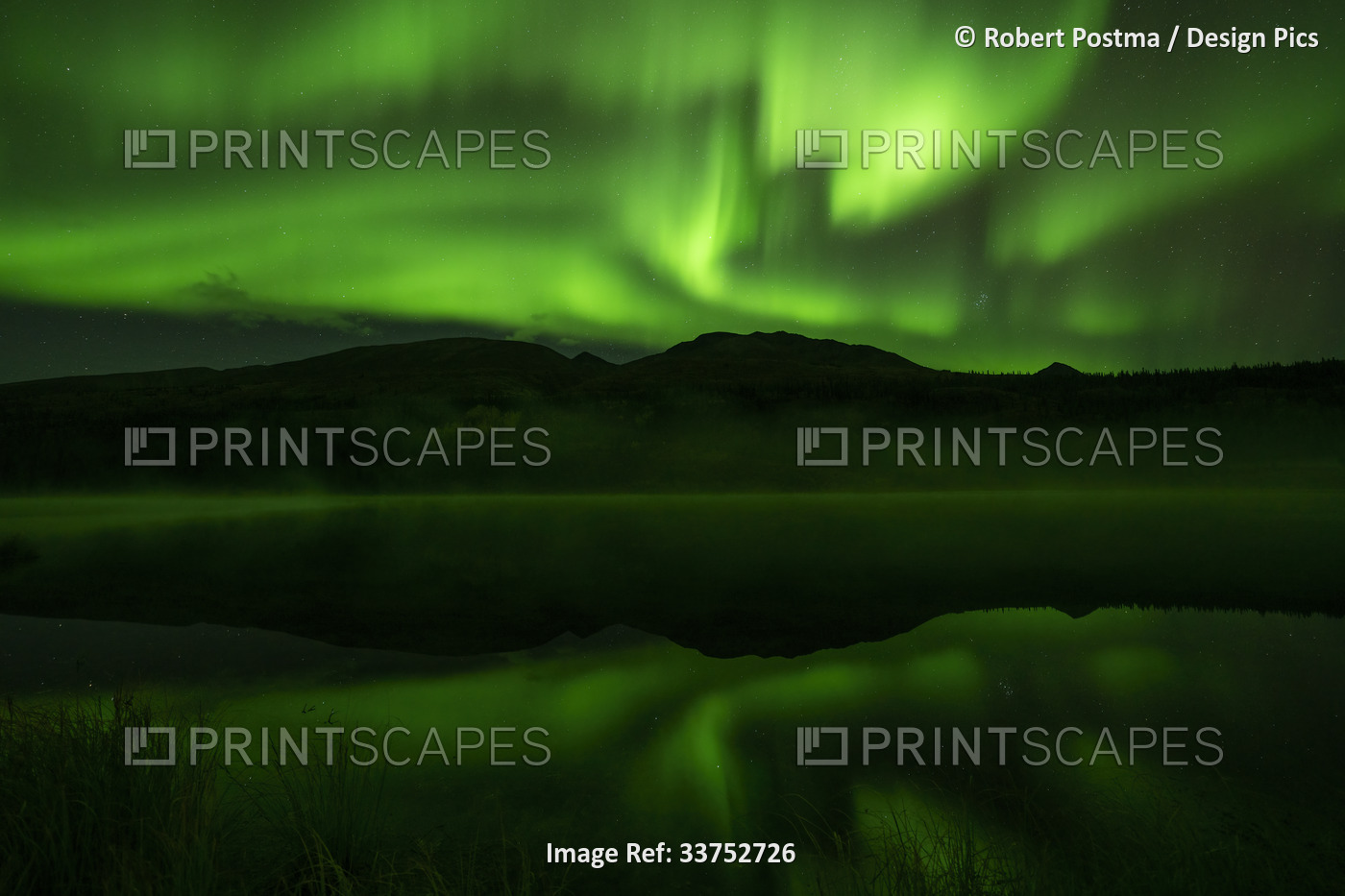 Northern Lights glowing a vibrant green in the Yukon night sky; Watson Lake, ...