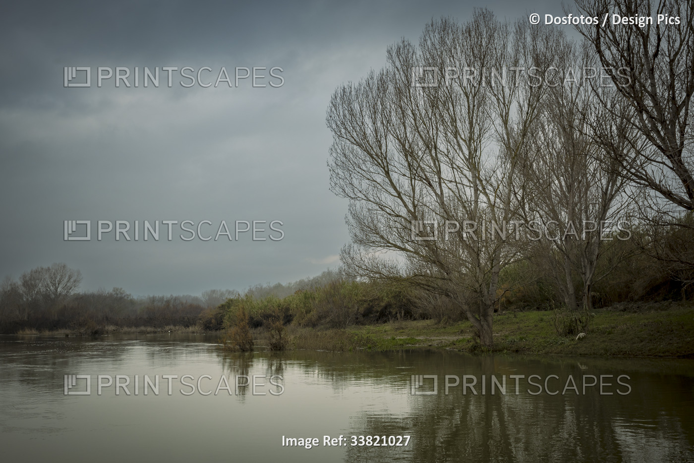 Shoreline reflections in a tranquil river scene, Ebro River, Spain; Benissanet, ...