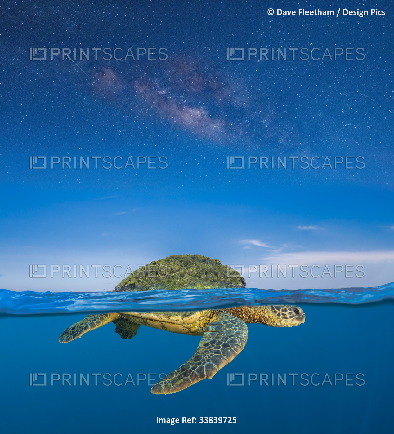 Turtle Island is the name for the lands now known as North and Central America. ...