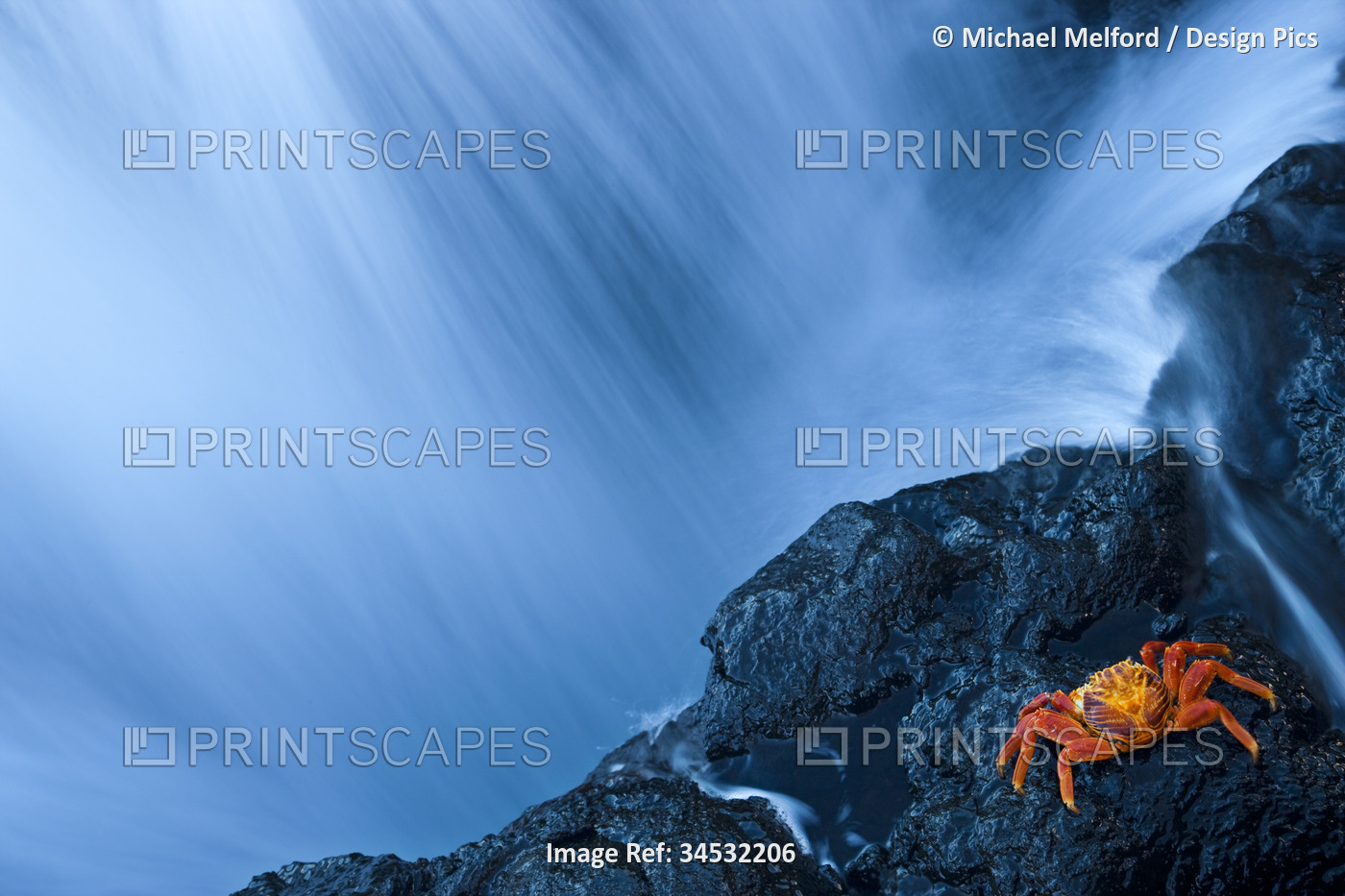 Water from a waterfall rushing past a rocky cliff where a crab is resting; San ...