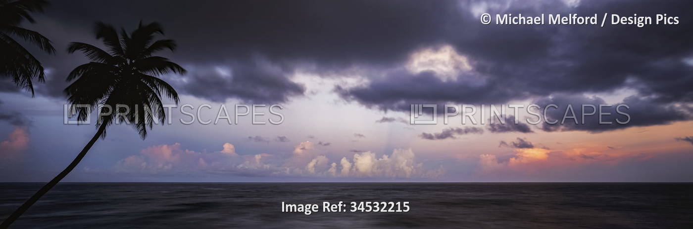 Palm trees are silhouetted against a twilight sky; Saint Vincent Island, Saint ...
