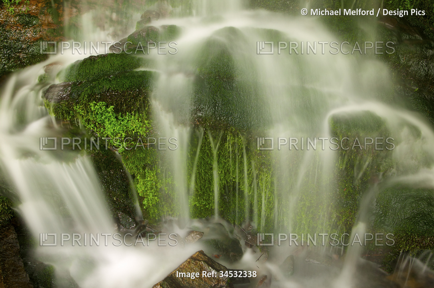 Close-up detail of motion blur with water cascading over a moss-covered boulder ...