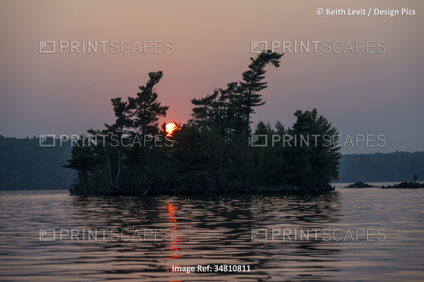 Sun sinking behind silhouetted trees and a lake; Lake of the Woods, Ontario, ...