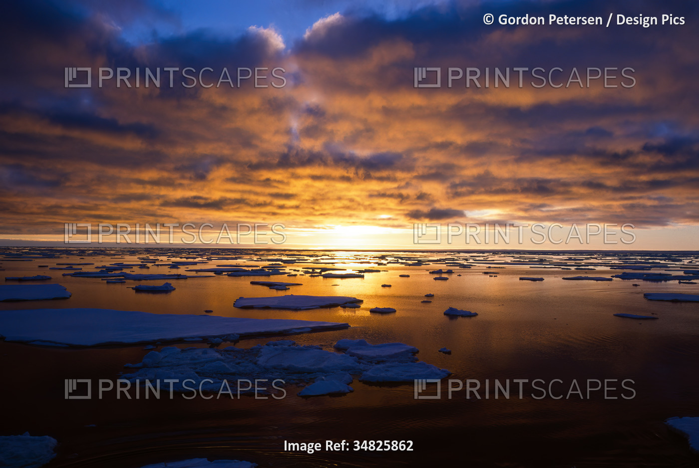 Sunset over pack ice in Antarctica, with the bright golden sunlight ...
