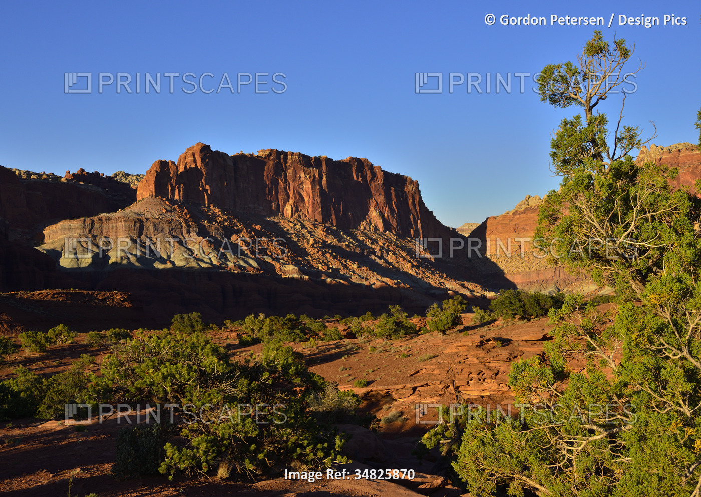 Warm sunset light over the rugged rocky landscape in Capitol Reef National ...