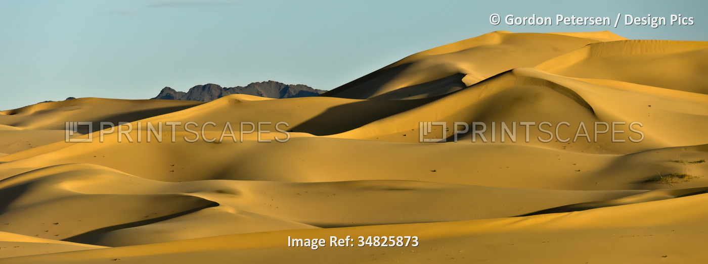Panorama of the Singing Sands in Gobi Gurvansaikhan National Park in the Gobi ...